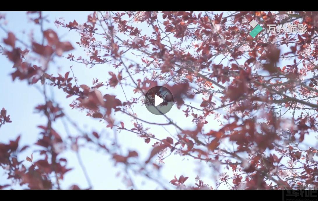 金舟影音下载,视频播放,影音播放