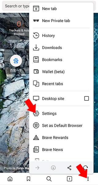 brave浏览器官方手机版中文版下载,brave浏览器,上网app,浏览器app