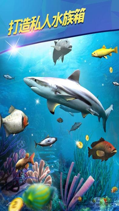 3d海上钓鱼内购破解版下载,3d海上钓鱼,钓鱼游戏