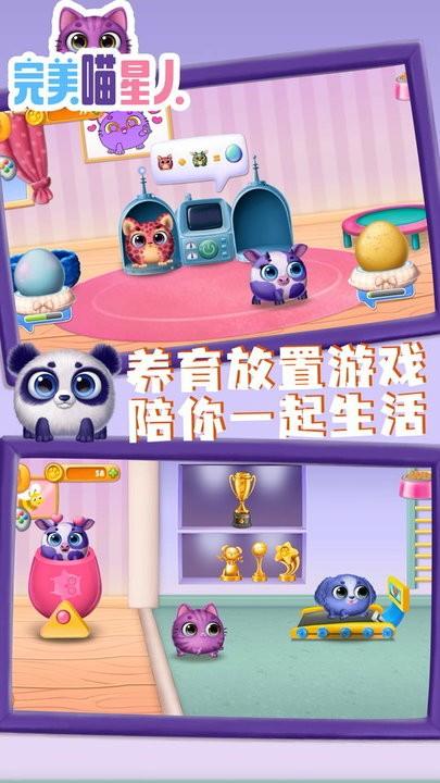 完美喵星人最新版下载,完美喵星人,宠物游戏