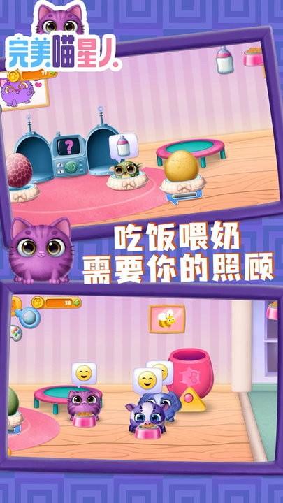 完美喵星人最新版下载,完美喵星人,宠物游戏