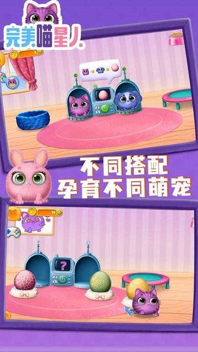 完美喵星人最新版下载,完美喵星人,宠物游戏