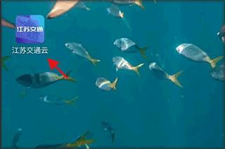 江苏交通云app下载,江苏交通云,交通app,江苏app